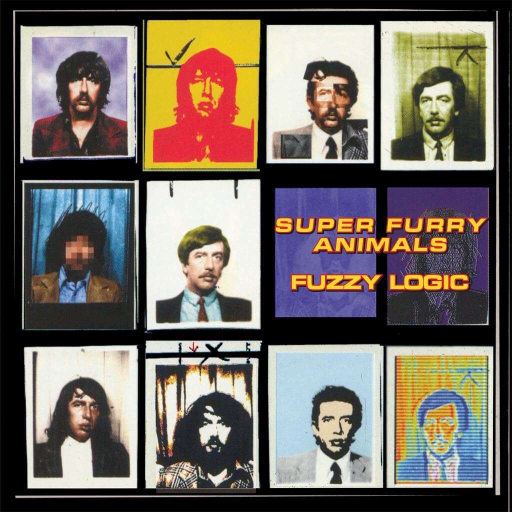 Fuzzy Logic by Super Furry Animals