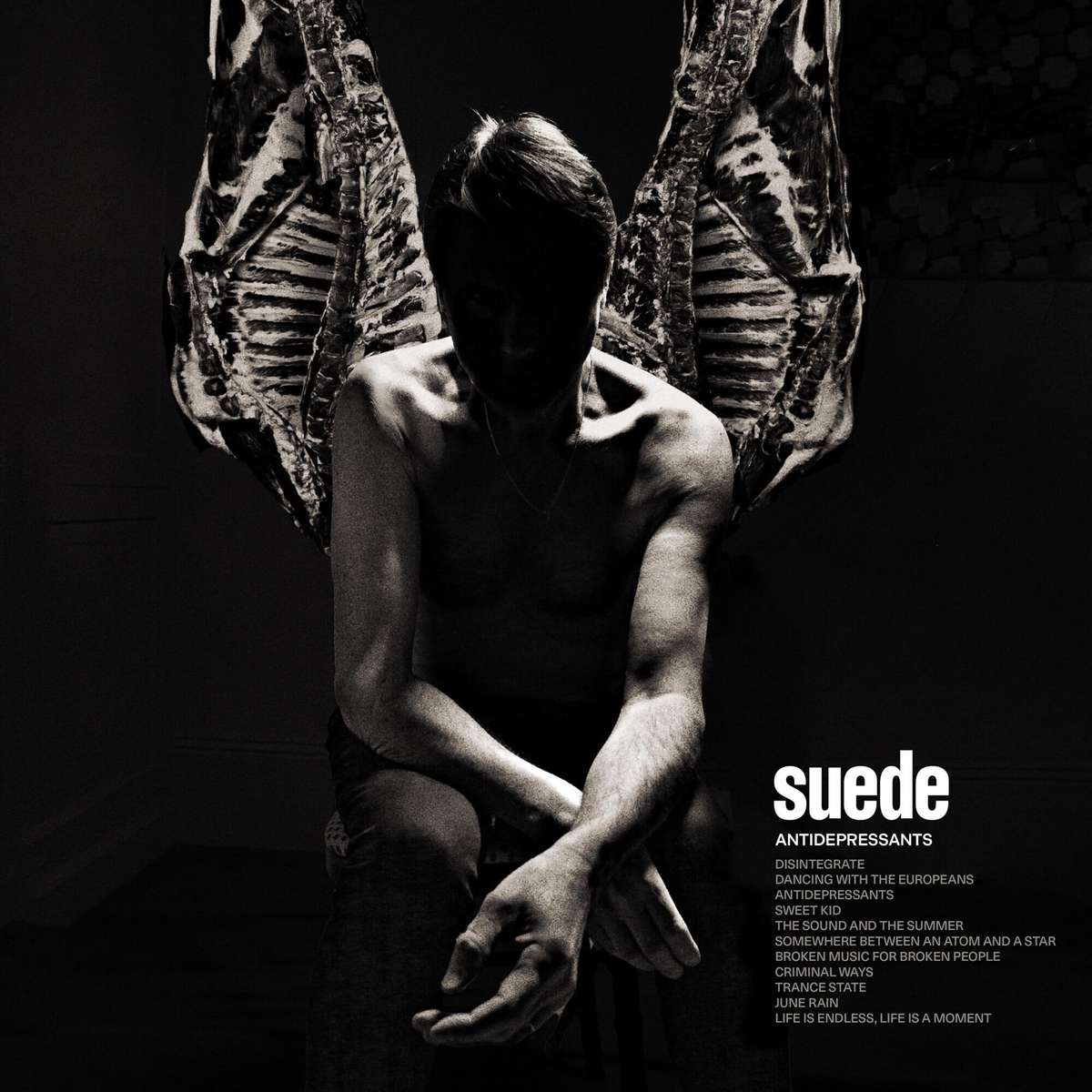 Antidepressants by Suede