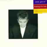 Shaking The Tree (Twelve Golden Greats) by Peter Gabriel