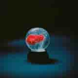 nothing by Darkside