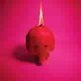 Pink Elephant by Arcade Fire