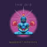 Buddhist Hipsters by The Orb
