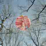 Glean by They Might Be Giants