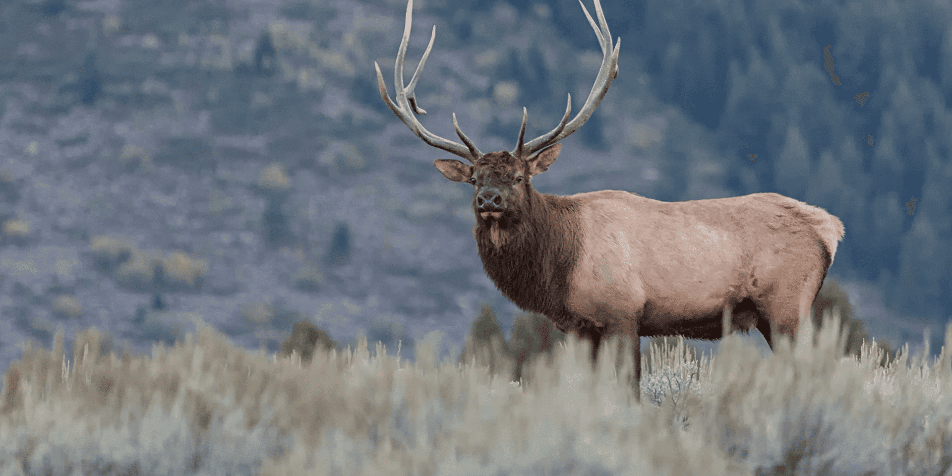 Installing an ELK Stack on CentOS 7