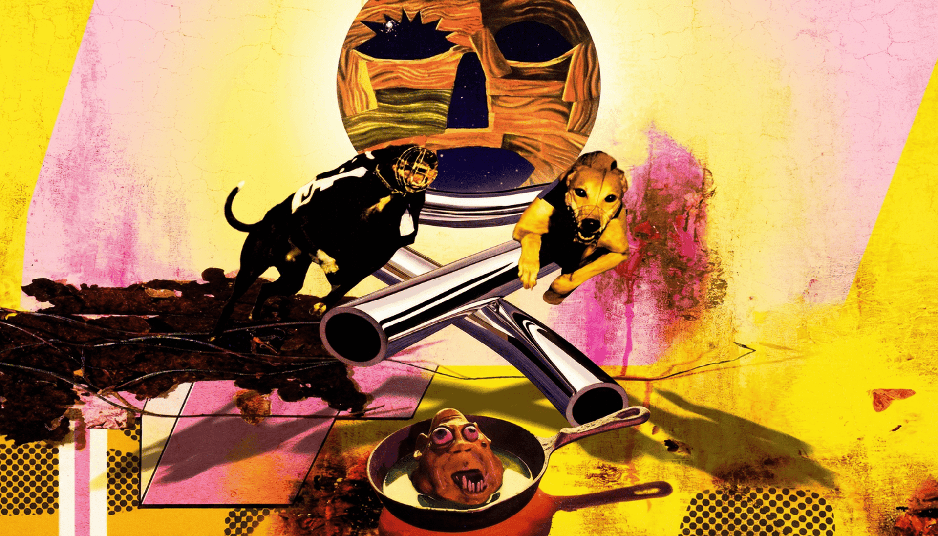 Exploring Musical Diversity from Stereolab to A Tribe Called Quest