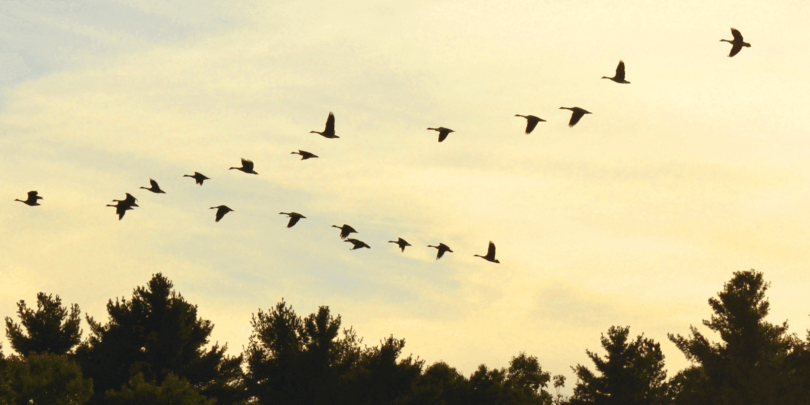 Migration of Server & Swap Space