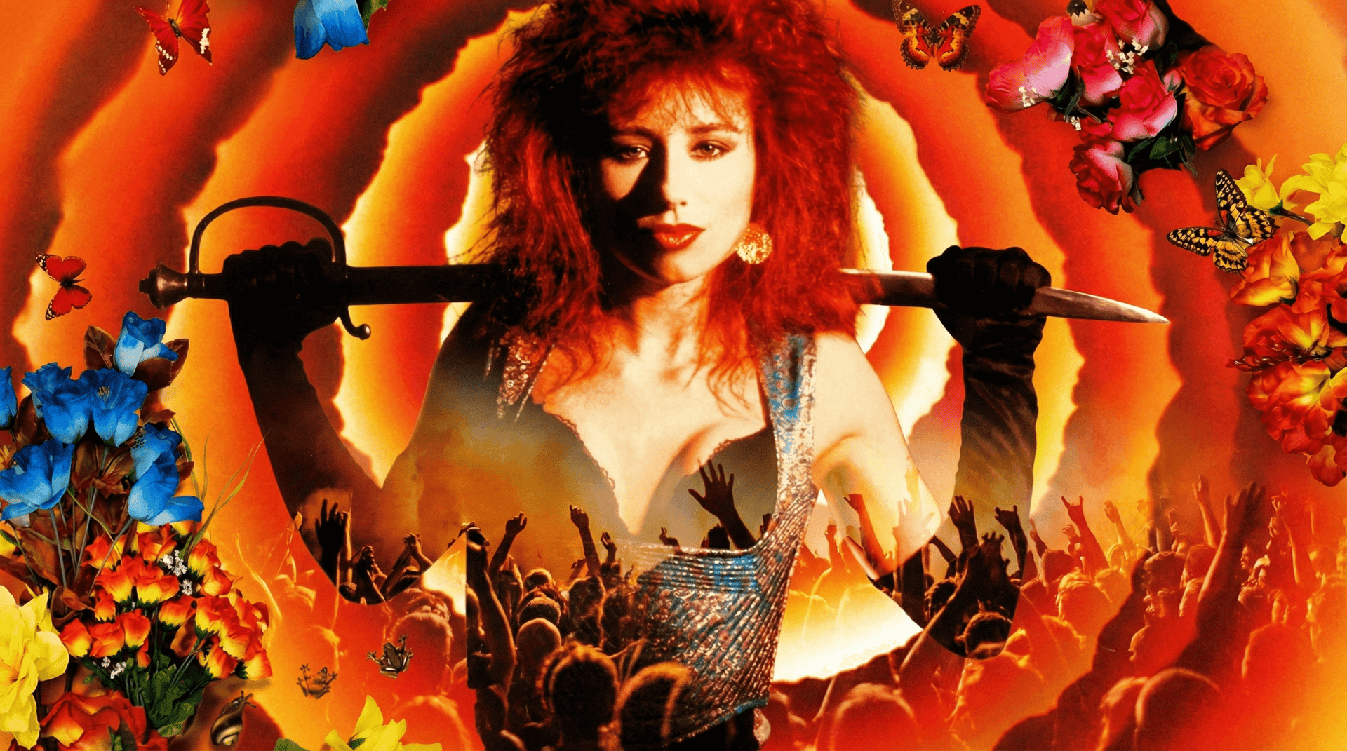 A Musical Odyssey: From The Pogues’ Whimsy to Steely Dan’s Sophistication