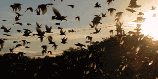 Flocker on CentOS 7