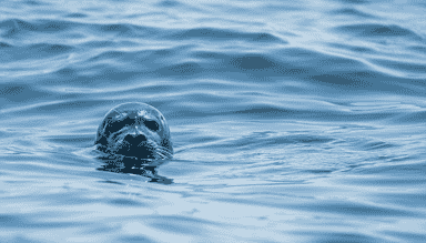 Running Podman on macOS