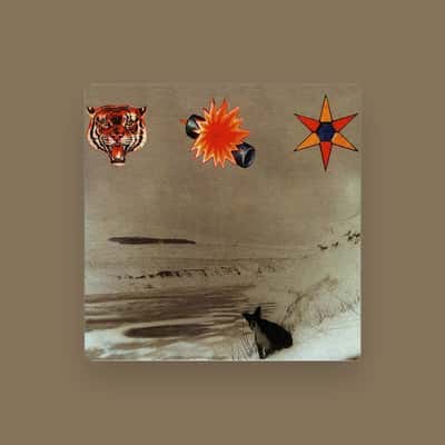 The Beta Band