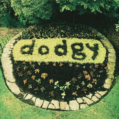 Ace As + Killer Bs by Dodgy