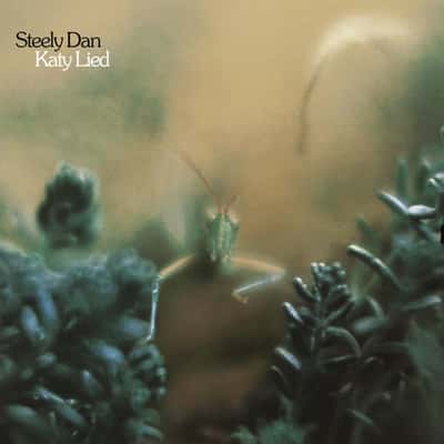 Katy Lied by Steely Dan
