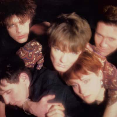 The House of Love by The House of Love