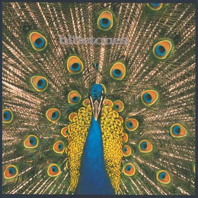 Expecting To Fly by The Bluetones