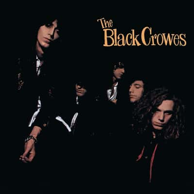 Shake Your Money Maker by The Black Crowes