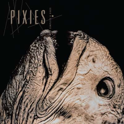 Complete B Sides by Pixies
