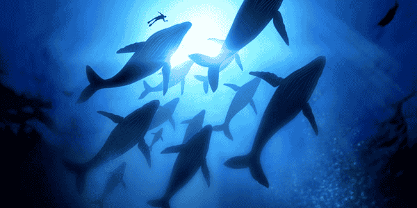 Monitoring Docker Released