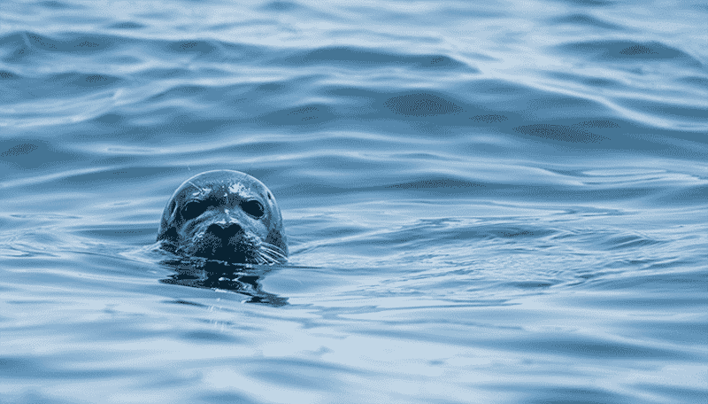 Running Podman on macOS