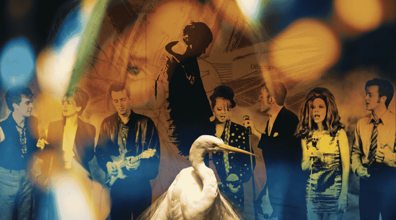 Exploring Sonic Fantasies: From Bowieโs Vision to The Flaming Lipsโ Whimsy